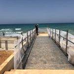 | bull-deck.com