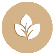 Bull Deck Logo