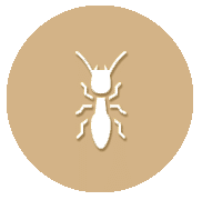 Bull Deck Icon | bull-deck.com